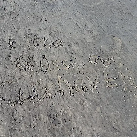 Kleine Nixe Krabbe Apartment